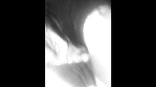 MI INCULO MIA MOGLIE GIULIA A PECORA