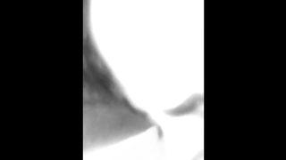 MI INCULO MIA MOGLIE GIULIA A PECORA