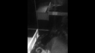 MI INCULO MIA MOGLIE GIULIA A PECORA