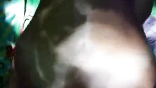 Nel bosco...a cavall(ina)!