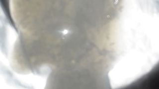 Esamino il mio sperma a Modena