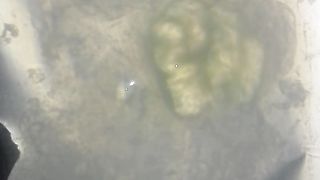 Esamino il mio sperma a Modena