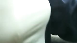 La slave Cagna in auto