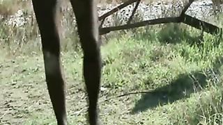 La slave Cagna si esibisce all'aperto