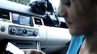 Sandra bella biondina