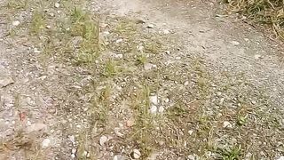 Una sega in campagna