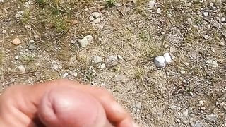 Una sega in campagna