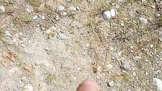 Una sega in campagna