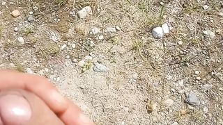 Una sega in campagna