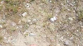 Una sega in campagna