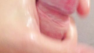 Fungo bolognese con olio