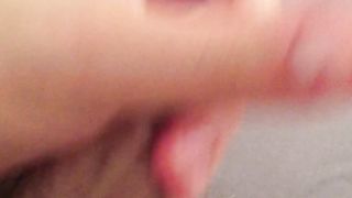 Fungo bolognese con olio