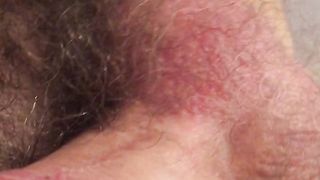 Fungo bolognese con olio