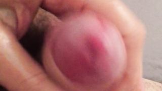 Fungo bolognese con olio