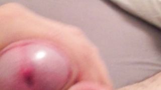 Fungo bolognese con olio