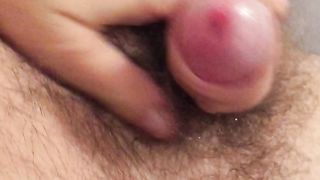 Fungo bolognese con olio