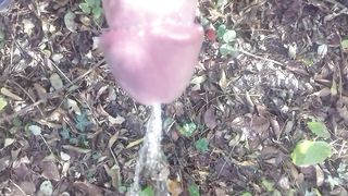 Piscio nel boschetto