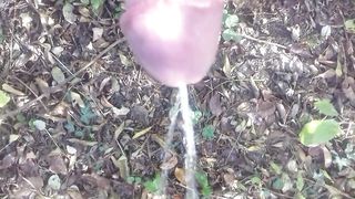 Piscio nel boschetto