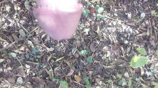 Piscio nel boschetto