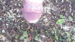 In giro nel boschetto a Modena