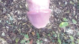 In giro nel boschetto a Modena