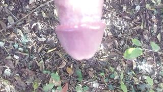 In giro nel boschetto a Modena