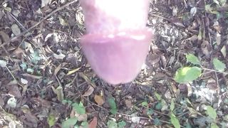 In giro nel boschetto a Modena