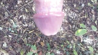 Anteprima del video: In giro nel boschetto a Modena