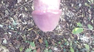 In giro nel boschetto a Modena