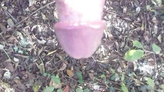 In giro nel boschetto a Modena