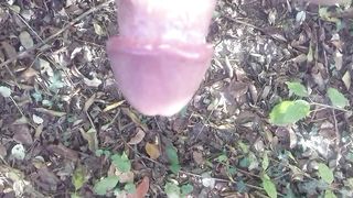 In giro nel boschetto a Modena