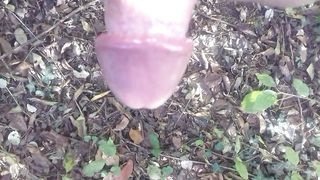 In giro nel boschetto a Modena