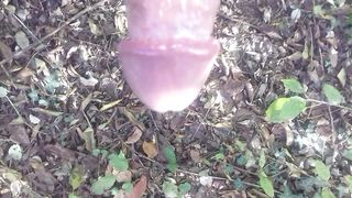 In giro nel boschetto a Modena