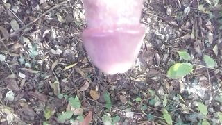 In giro nel boschetto a Modena