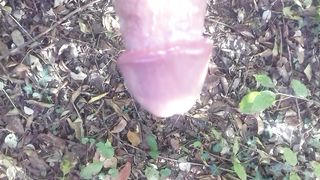 In giro nel boschetto a Modena