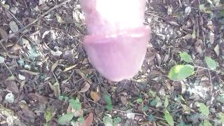 In giro nel boschetto a Modena