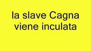 Cagna slave inculata