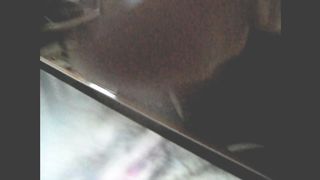 Tributo  di Virtualbull a coppia italiana con marito cuckold virtuale