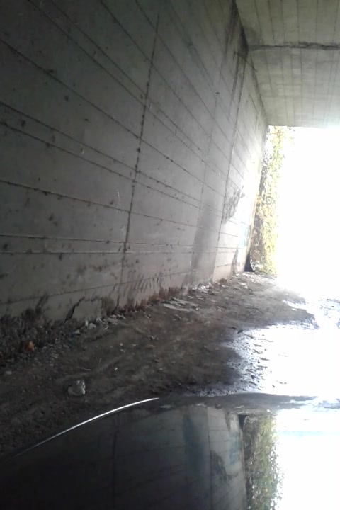 Chi viene a scoparmi?