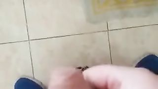 QUANTO MI PIACE ESSERE GUARDATO DALLE MIE AMICHE TROIE MENTRE MI SEGO