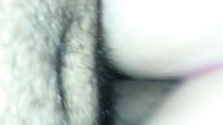 Sempre a pecora Parte 2