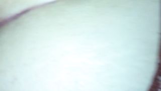 Sempre a pecora Parte 2