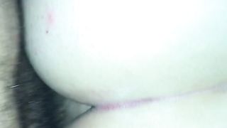 Sempre a pecora Parte 2