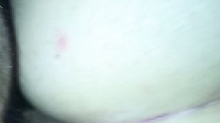 Sempre a pecora Parte 2