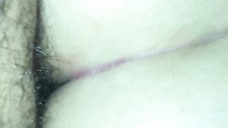 Sempre a pecora Parte 2