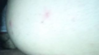 Sempre a pecora Parte 2