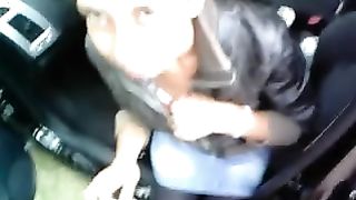 Troia stradale rumena