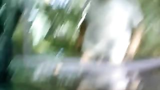 Troia stradale rumena