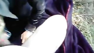 Troia stradale rumena