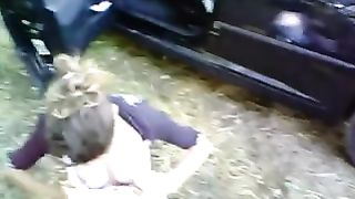 Troia stradale rumena